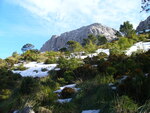 31.12.2008: Mallorca - in den Bergen oberhalb des Stausees Cúber