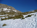 31.12.2008: Mallorca - in den Bergen oberhalb des Stausees Cúber
