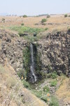 16.08.2023: See Genezareth und Golanhöhen - Gamla-Wasserfall