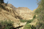 18.08.2023: Totes Meer und Umgebung - Wadi Arugot in der Oase En Gedi