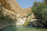18.08.2023: Totes Meer und Umgebung - Pool im Wadi Arugot