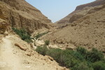 18.08.2023: Totes Meer und Umgebung - Wadi Arugot in der Oase En Gedi