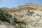 18.08.2023: Totes Meer und Umgebung - Wadi David in der Oase En Gedi