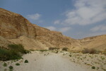 20.08.2023: Negev-Wüste - Wadi Barak