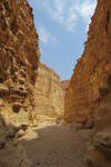 20.08.2023: Negev-Wüste - Ausgang des Canyon des Wadi Barak