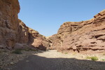 22.08.2023: Negev-Wüste - Wadi Shani