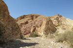 22.08.2023: Negev-Wste - Wadi Shani