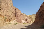 22.08.2023: Negev-Wüste - Wadi Shani