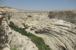 23.08.2023: Negev-Wüste - Blick in den En-Advat-Canyon