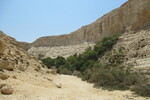 23.08.2023: Negev-Wüste - En-Advat-Canyon