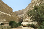 23.08.2023: Negev-Wüste - En-Advat-Canyon