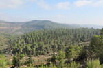 26.08.2023: Jerusalem und Umgebung - Blick vom Aminadav-Wald