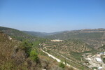 26.08.2023: Jerusalem und Umgebung - Blick vom Aminadav-Wald