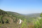 26.08.2023: Jerusalem und Umgebung - Blick vom Aminadav-Wald