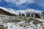 20.05.2016: Sdtirol - Vinschgau - nahe der Furkelhtte bei Stilfs