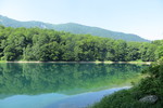 22.07.2019: Biogradska Gora - Biogradsko Jezero