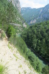 22.07.2019: Taraschlucht - Blick von der Strae Mojkovac - Žabljak