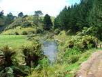 11.02.2006: Sonstiges - Waikato River