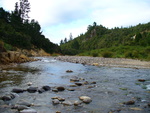 25.02.2006: Coromandel-Halbinsel - Tairua River