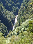 05.03.2006: Karangahake Gorge - Blick ins Tal des Waitawheta River