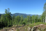 26.05.2017: Sonstige Sudeten - Blick vom Landeshuter Kamm bei Schmiedeberg zum Riesengebirge