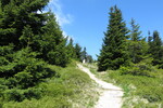 26.05.2017: Riesengebirge - zwischen Grenzbaudenpass und Tafelstein