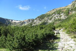 27.05.2017: Riesengebirge - nahe des Kleinen Teiches