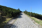 27.05.2017: Riesengebirge - Wanderweg von der Hampelbaude zum Kammweg