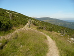 02.08.2009: Riesengebirge - auf dem Kammweg zwischen Spindlerbaude und Schneekoppe