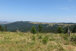 17.08.2017: Zibinsgebirge - nahe der Hohen Rinne