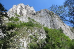 22.08.2017: Thorenburger Schlucht - Felsen über der Schlucht
