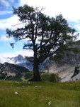 30.07.2007: nahe des Mojstrovka