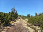 20.05.2026: Saybuscher Beskiden - Aufstieg zum Pilsko (1557 m)