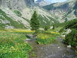 23.07.2006: Hohe Tatra - Malá Studená dolina