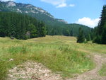 26.07.2006: Niedere Tatra - beim Ohnište-Massiv
