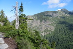 27.07.2017: North Shore Mountains (bei Vancouver) - am Hilbert Trail