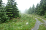 04.07.2011: am Kammweg Erzgebirge – Vogtland zwischen Fichtelberg und Tellerhäuser