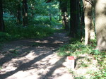 09.08.2007: Wanderweg entlang der Grenze mit mehreren Grenzsteinen