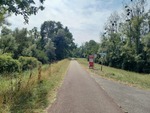 15.08.2026: Rheinradweg, Blick in Richtung Frankreich