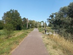 15.08.2026: Rheinradweg, Blick in Richtung Deutschland