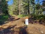 20.05.2026: Grenzstein am Wanderweg vom Pass Hliny / Glinne zum Pilsko