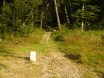 05.08.2009: Wanderweg genau auf der Grenze