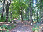 13.08.2007: Wanderweg zur Hochwaldbaude genau auf der Grenze